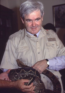 Newt Gingrich holding a snake Newt Gingrich holding a snake